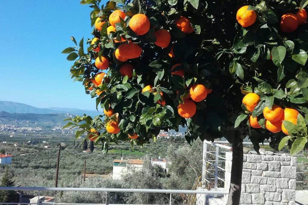 Nafplio, Hill With An Amazing View Apartment Luaran gambar