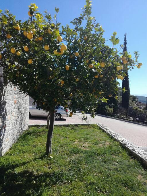 Nafplio, Hill With An Amazing View Apartment Luaran gambar